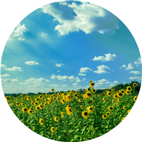 The Art of Reading: Read a Book Set in the Summer Badge
